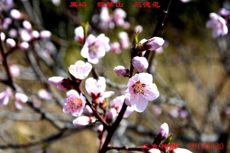 照片 227.jpg