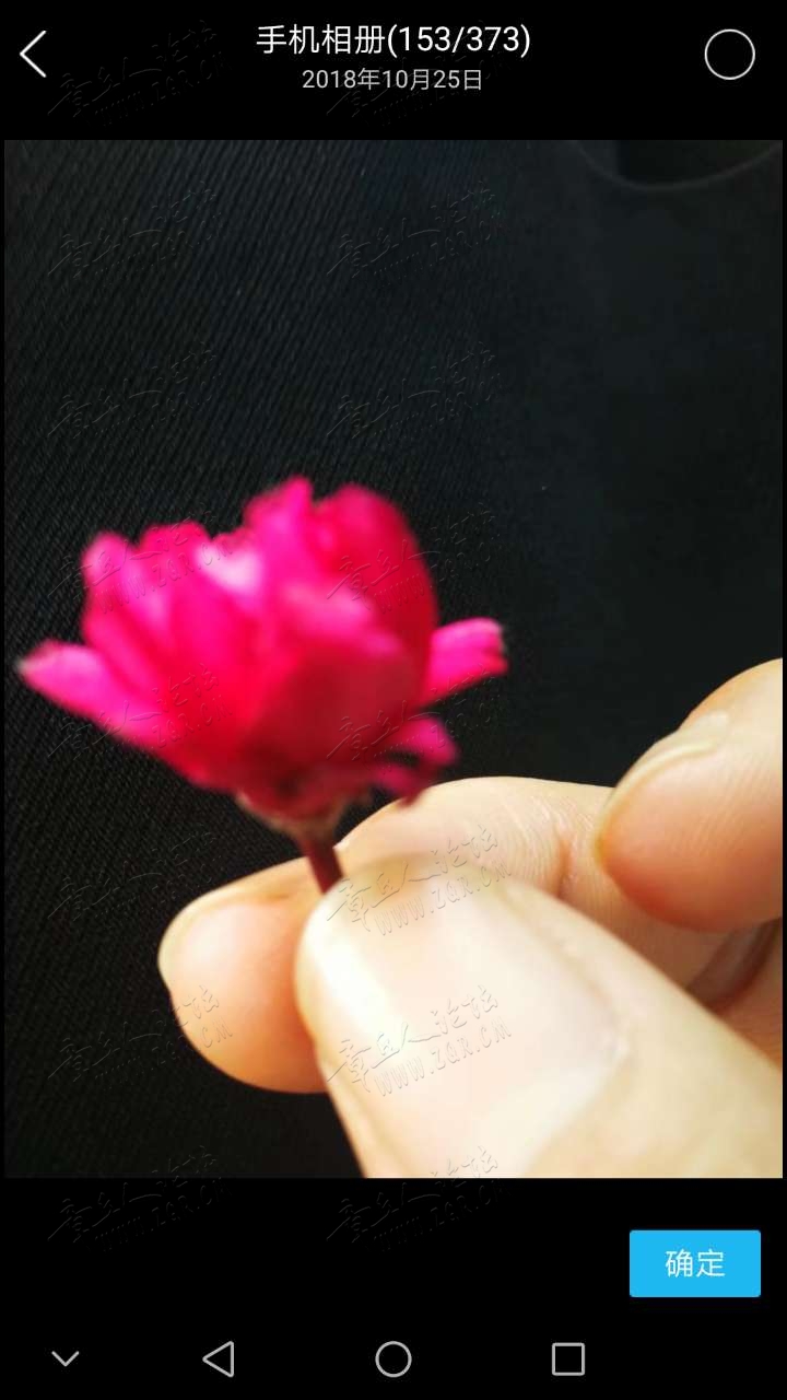20190403_445346_1554226055895.jpg