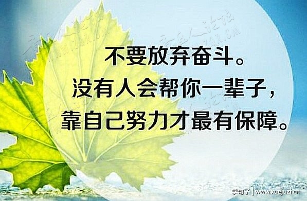 不放弃奋斗.jpg