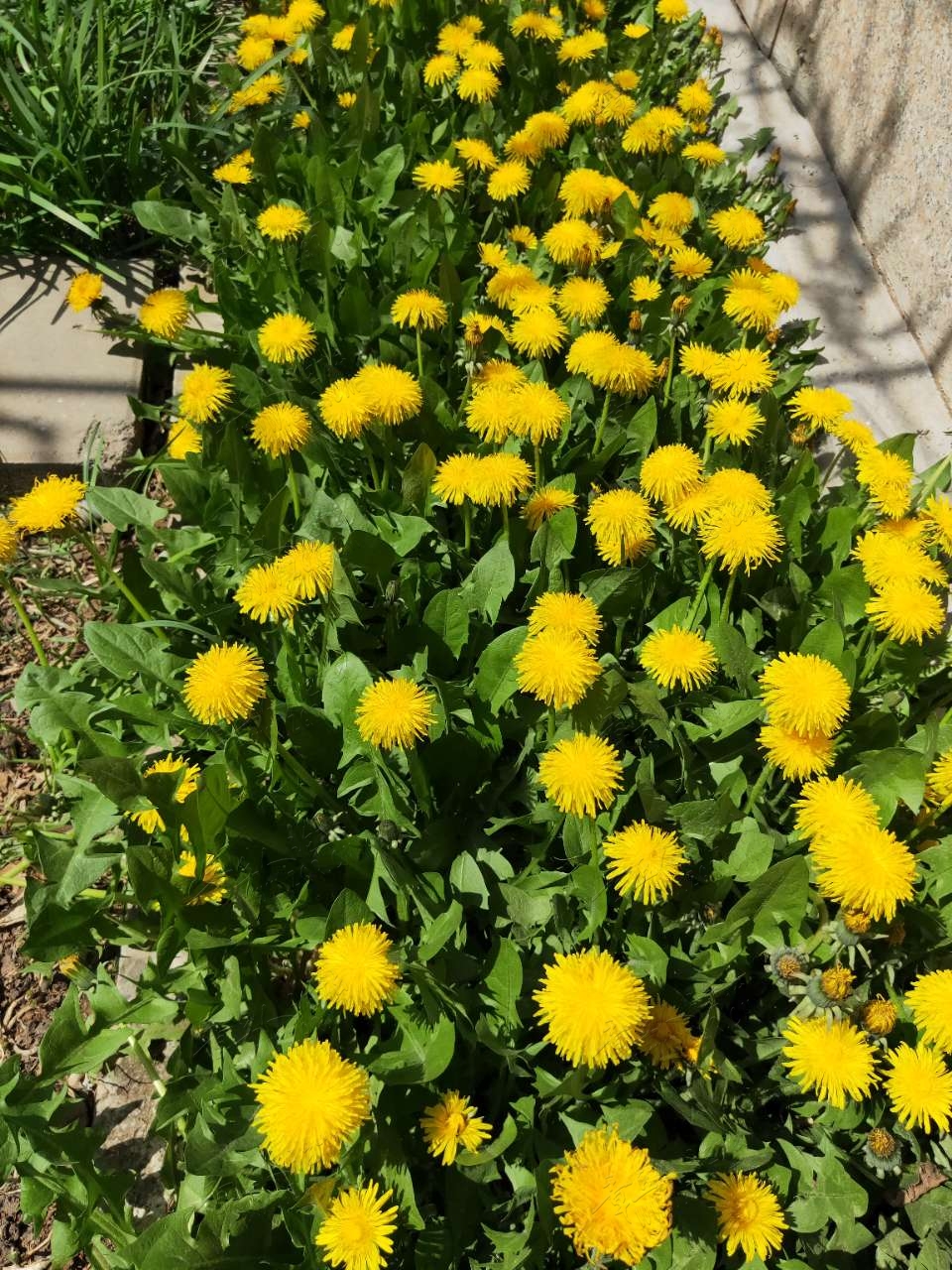 20190403_408996_1554294842242.jpg