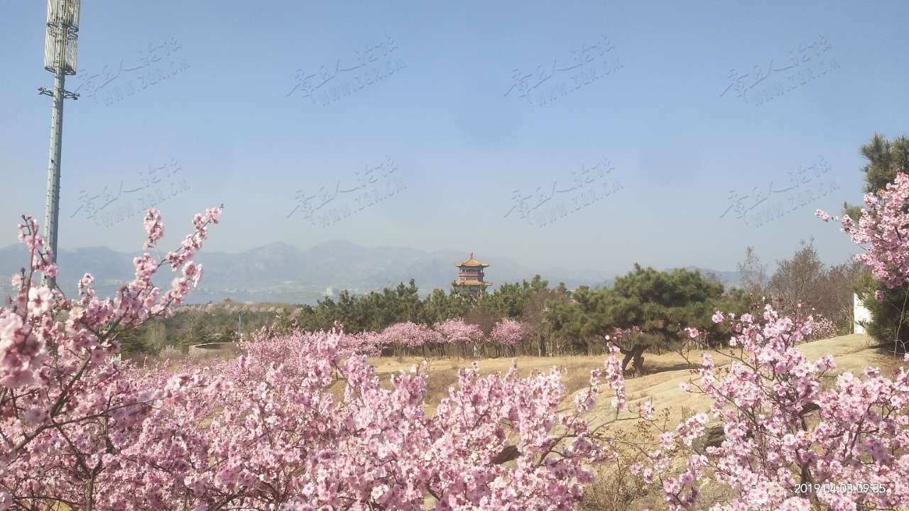 20190404_38072_1554334353360.jpg