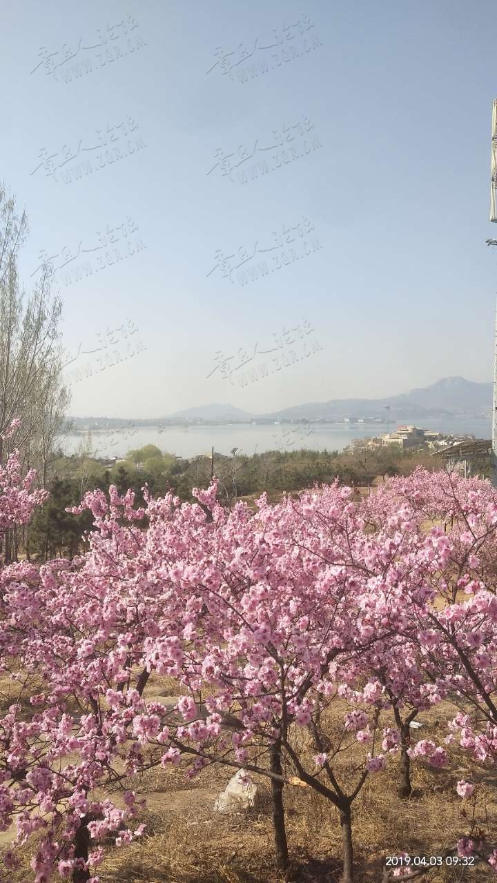 20190404_38072_1554334354289.jpg