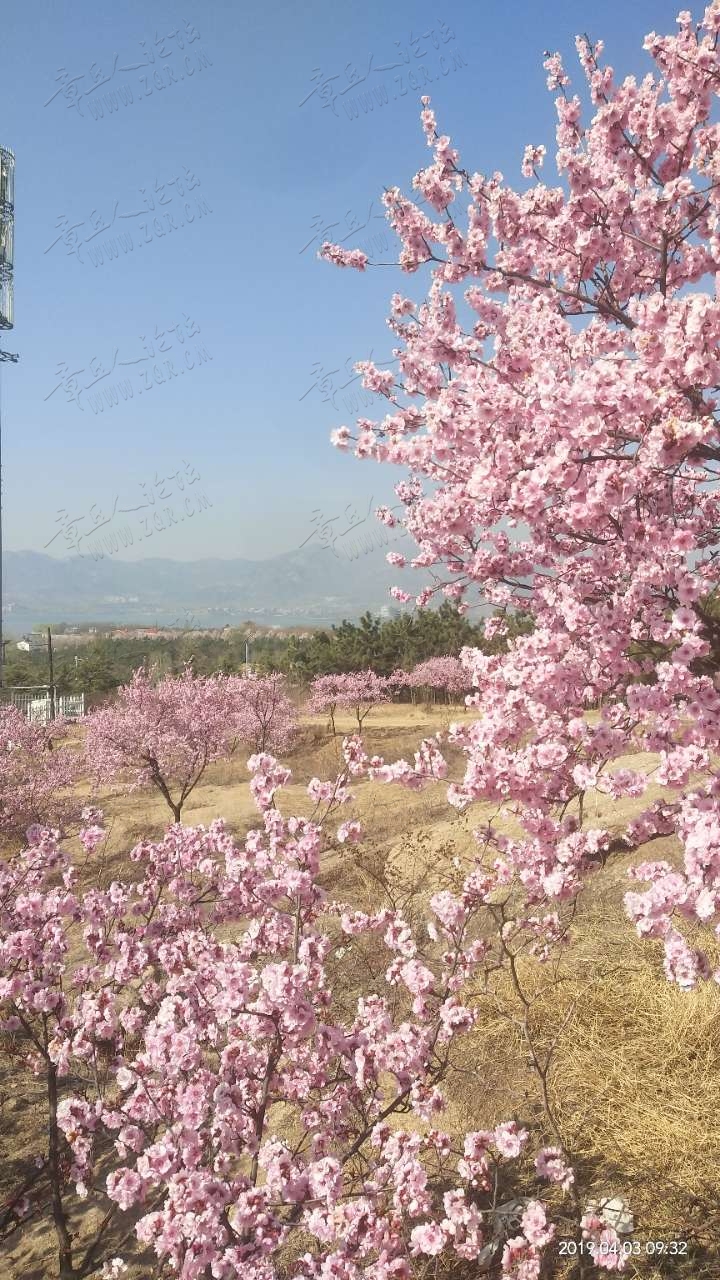 20190404_38072_1554334353965.jpg