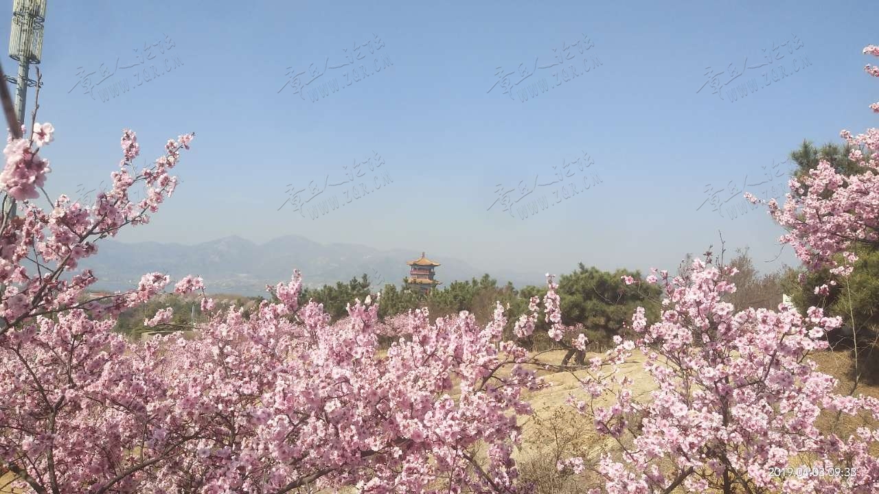 20190404_38072_1554334353660.jpg