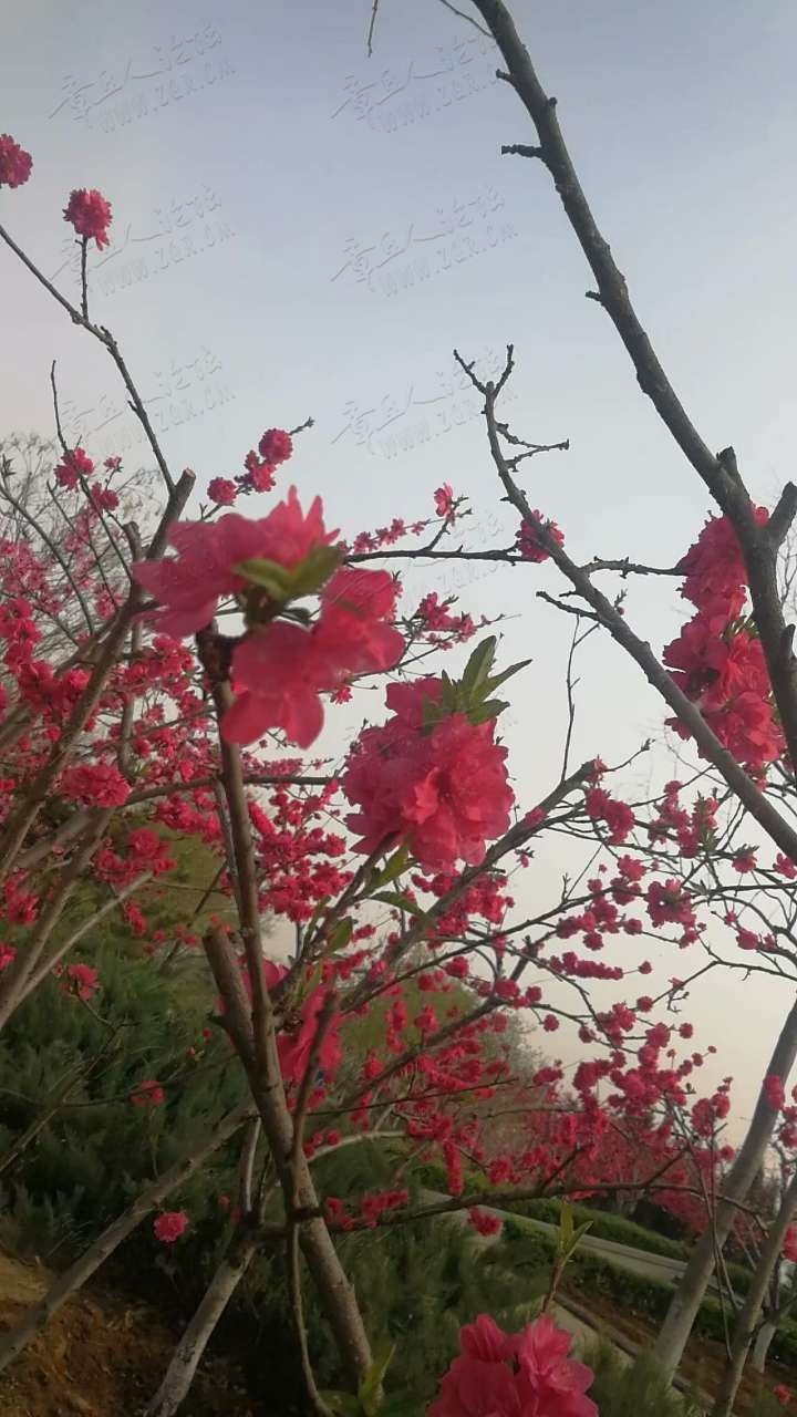 20190405_445346_1554429882695.jpg
