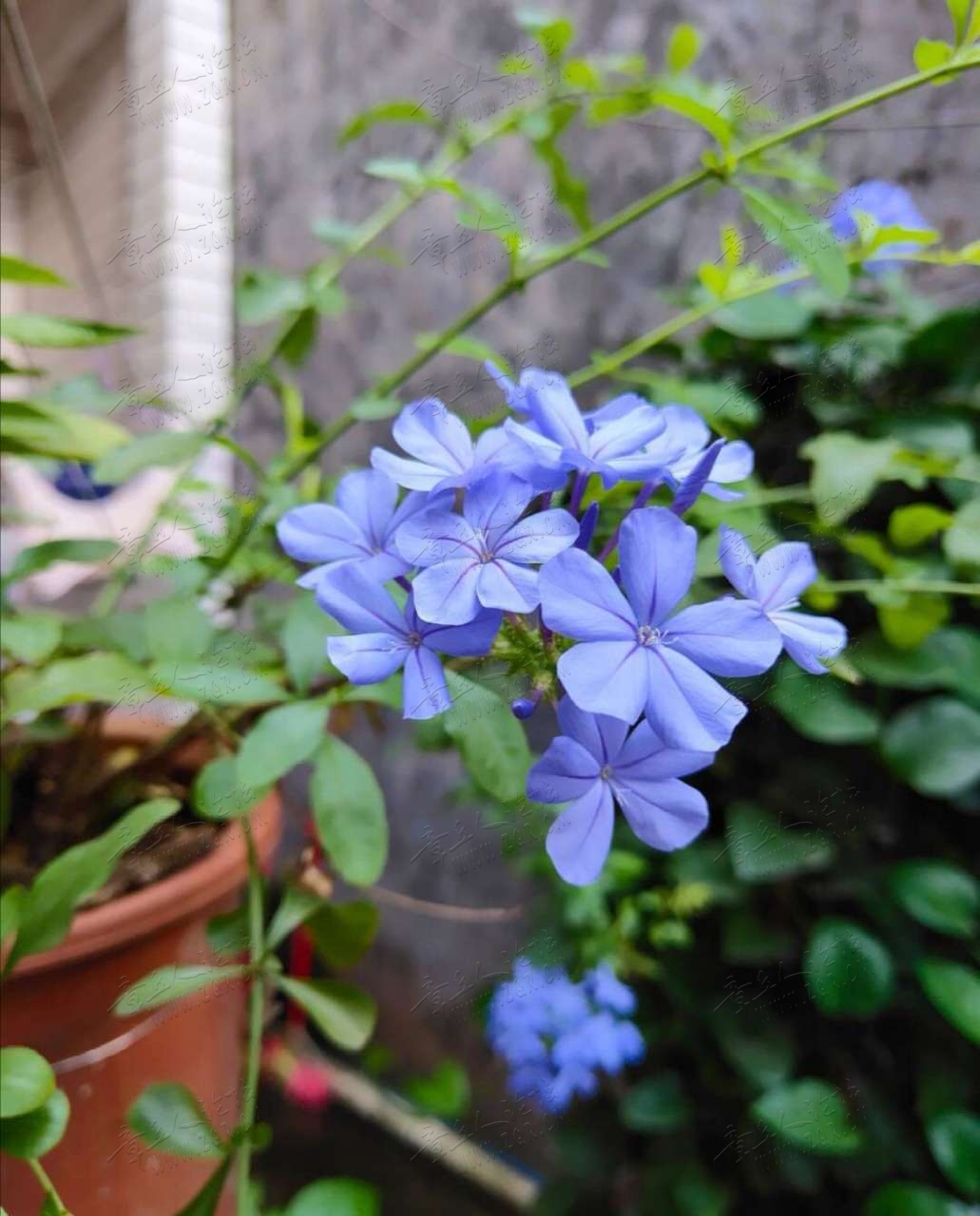 20190405_424896_1554475199434.jpg