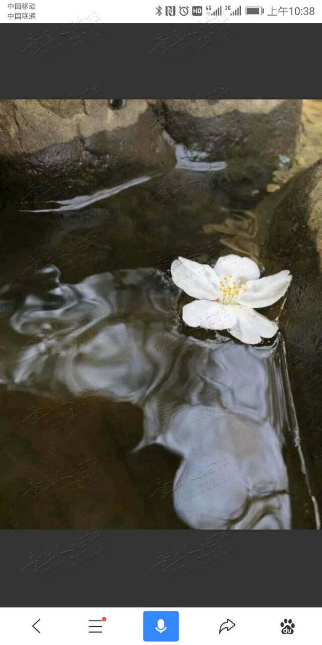 20190406_293335_1554483339914.png