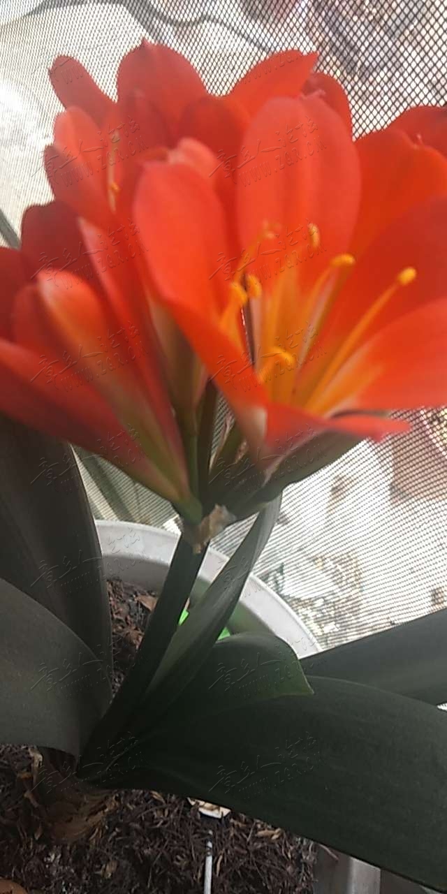 20190406_414230_1554540000930.jpg