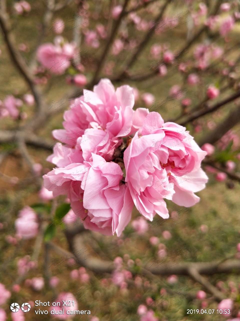 20190407_17420_1554619377824.jpg