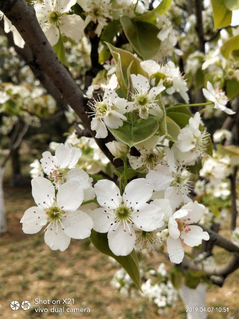20190407_17420_1554619378286.jpg