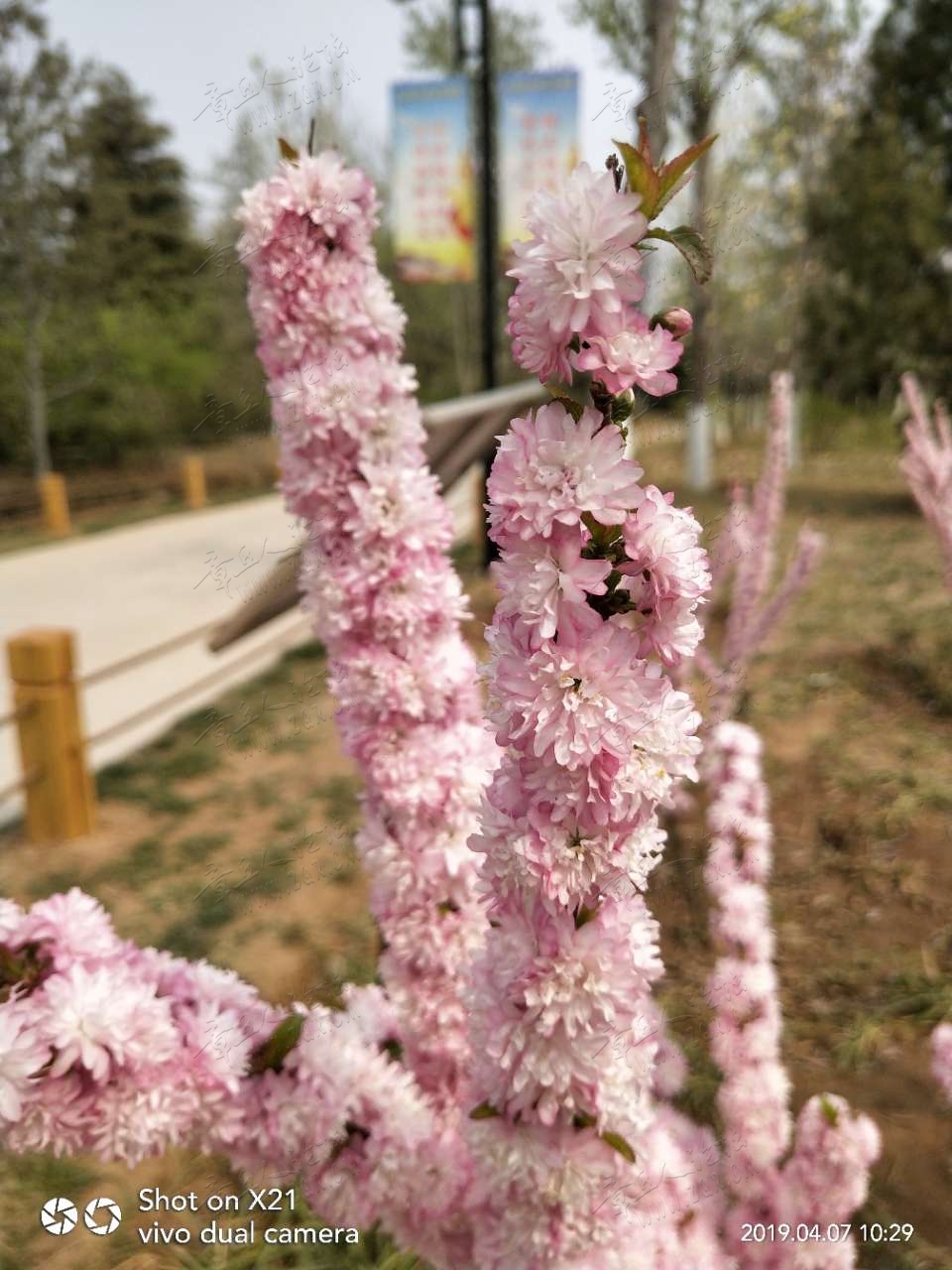 20190407_17420_1554619379250.jpg