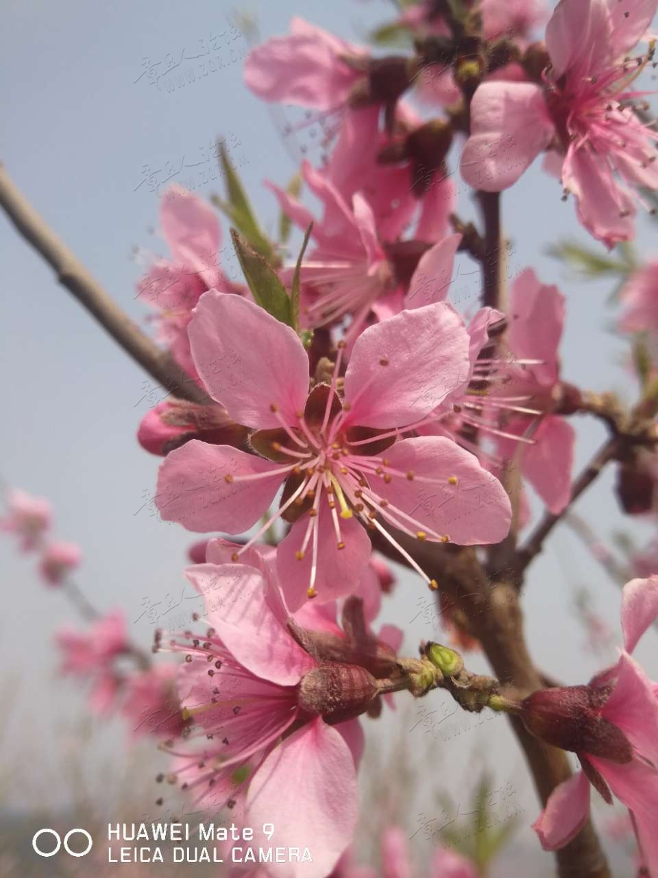 20190407_445346_1554644059487.jpg