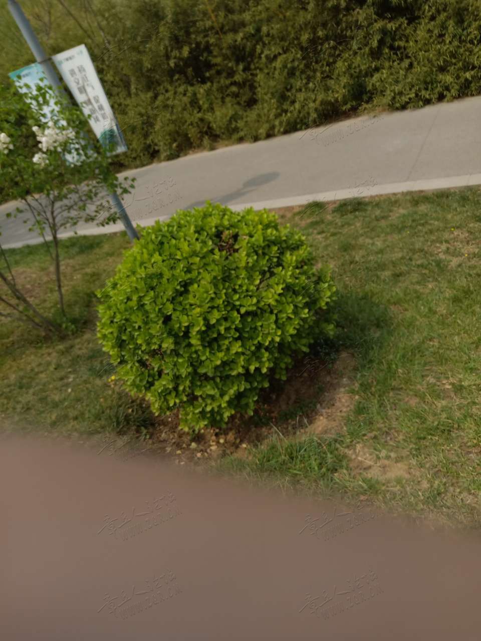 20190408_446632_1554695578887.jpg