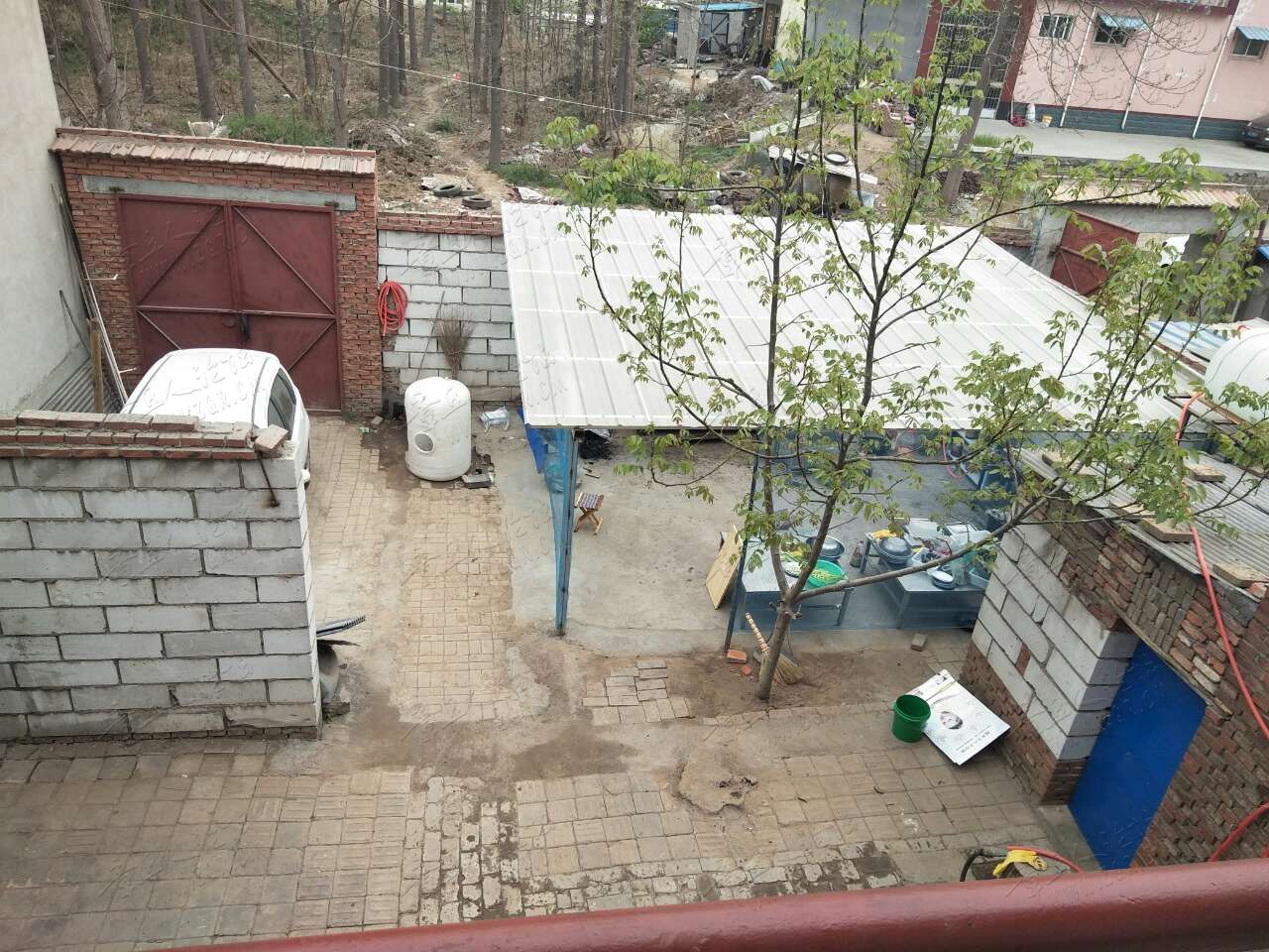 20190408_446657_1554722877742.jpg