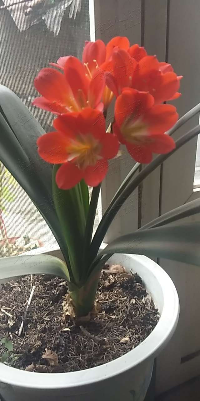 20190409_414230_1554778545401.jpg