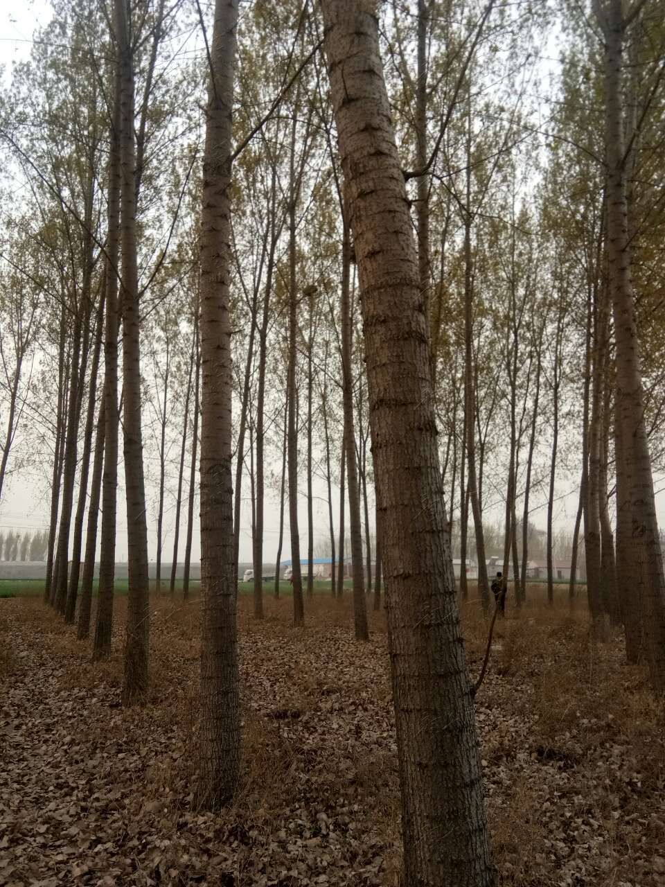 20190410_443729_1554846484736.jpg