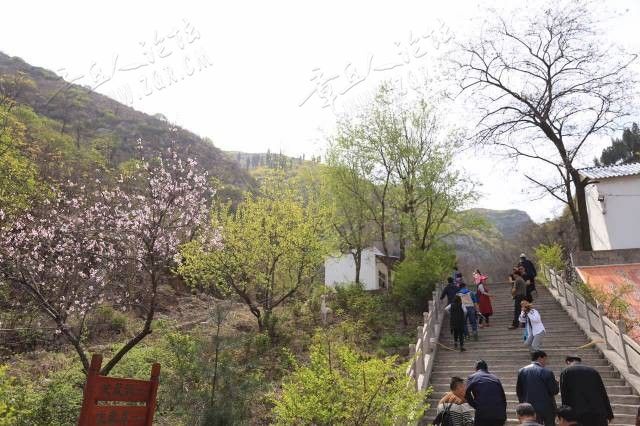 清明假期，22.8万人次来章丘“打卡”，看他们都去哪了-11.jpg