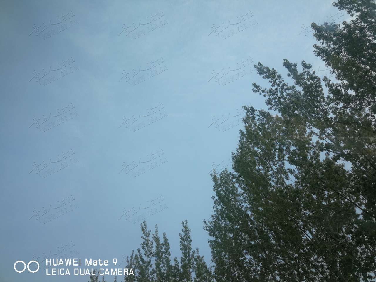 20190412_445346_1555051449768.jpg