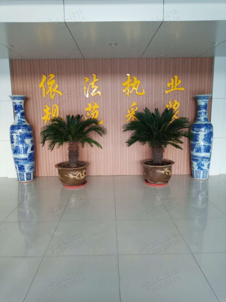 20190412_446390_1555071910701.jpg