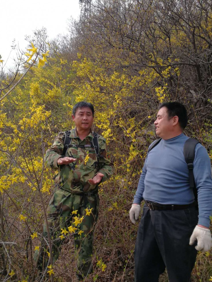 微信图片_20190414142256.jpg