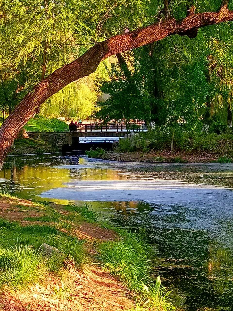 20190415_55480_1555318436633.jpg