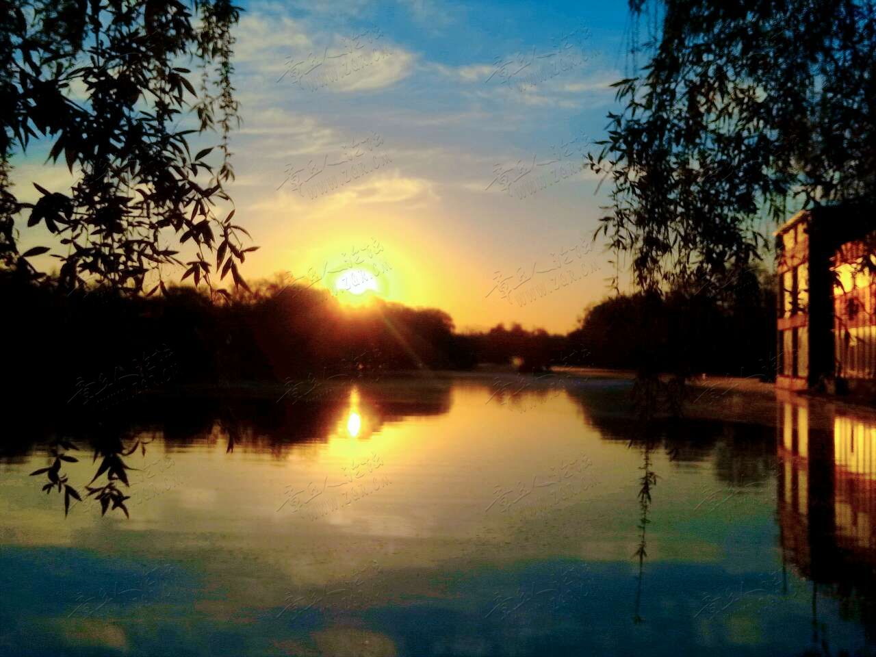20190415_55480_1555319096281.jpg