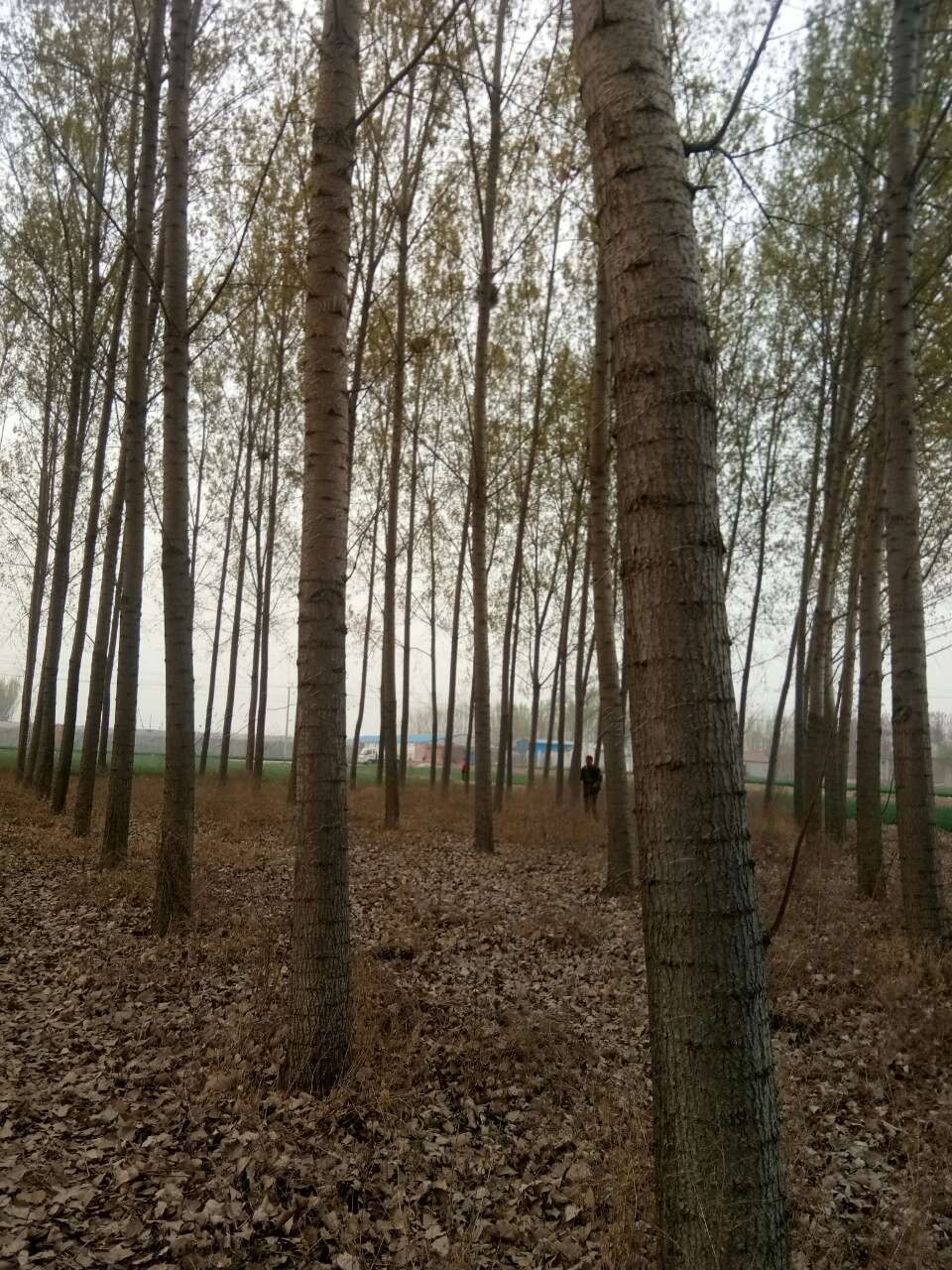 20190416_443729_1555363867517.jpg