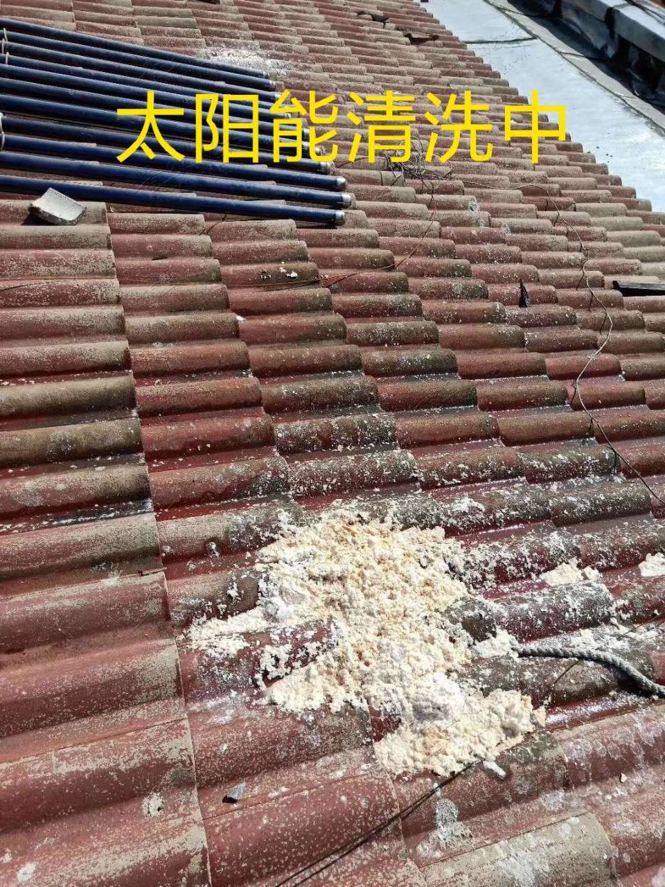 20190416_445778_1555386107480.jpg
