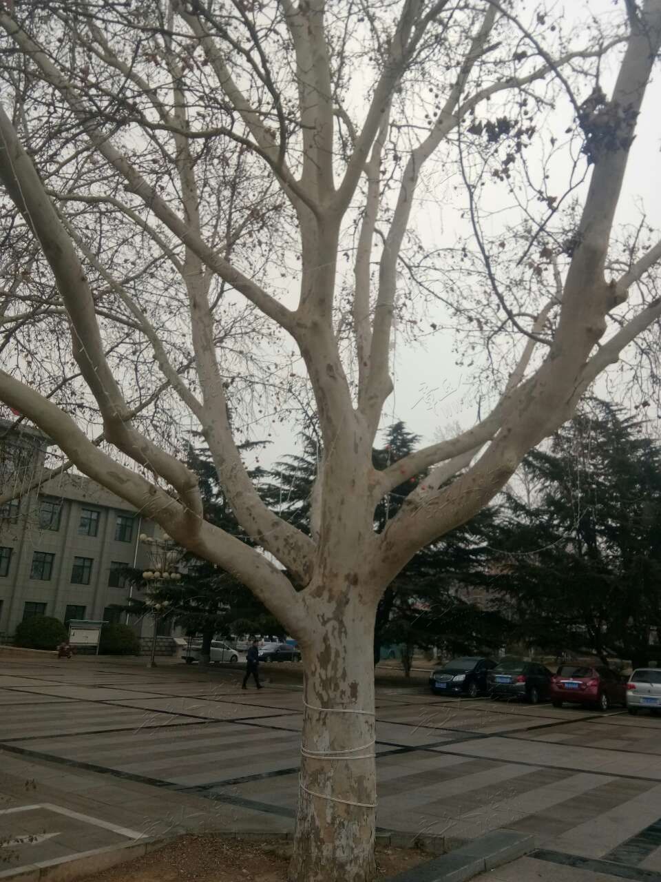 20190418_443729_1555535956521.jpg