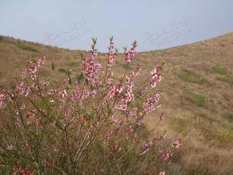 章丘户外 | AA出行大胡山归来-3.jpg