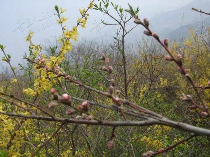 章丘户外 | AA出行大胡山归来-30.jpg