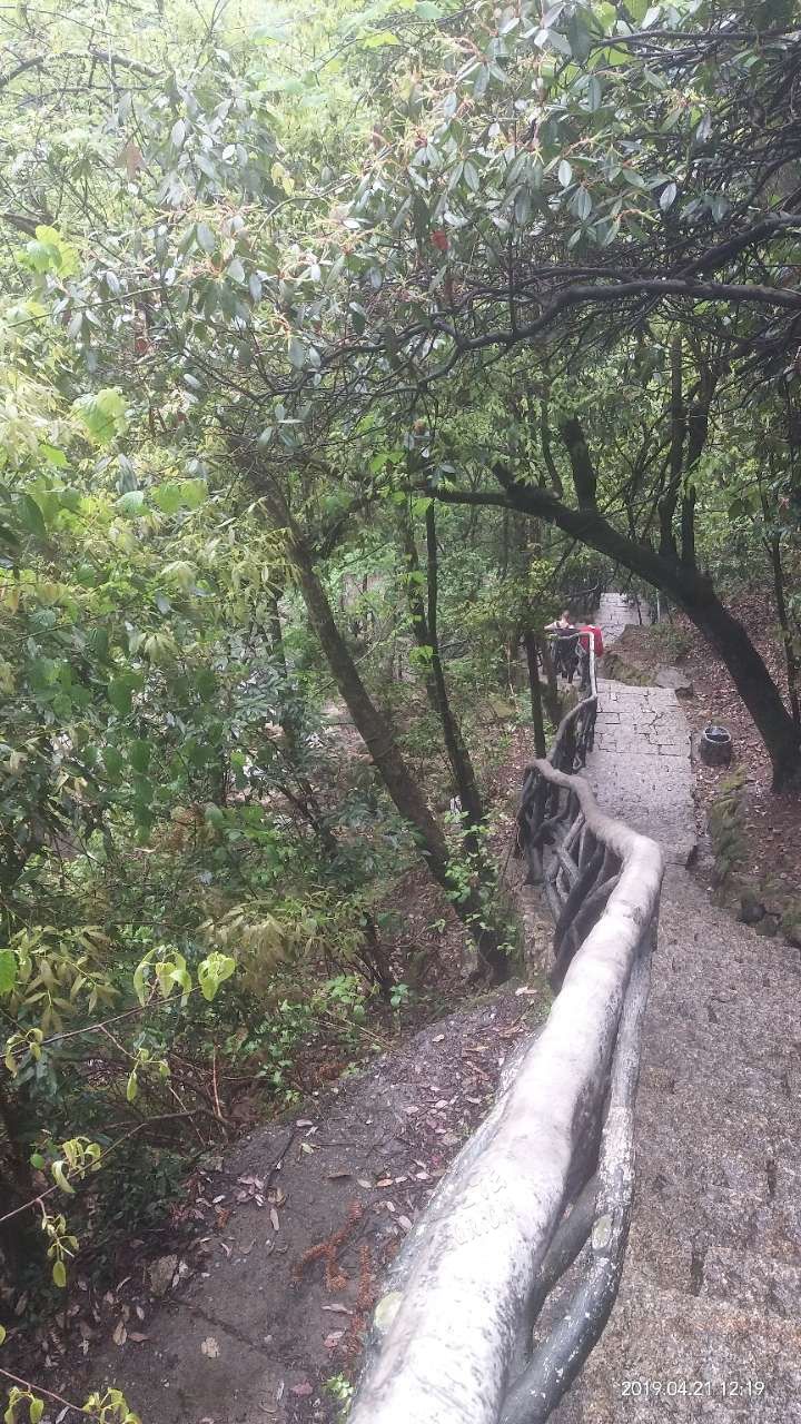 20190421_38072_1555852707611.jpg