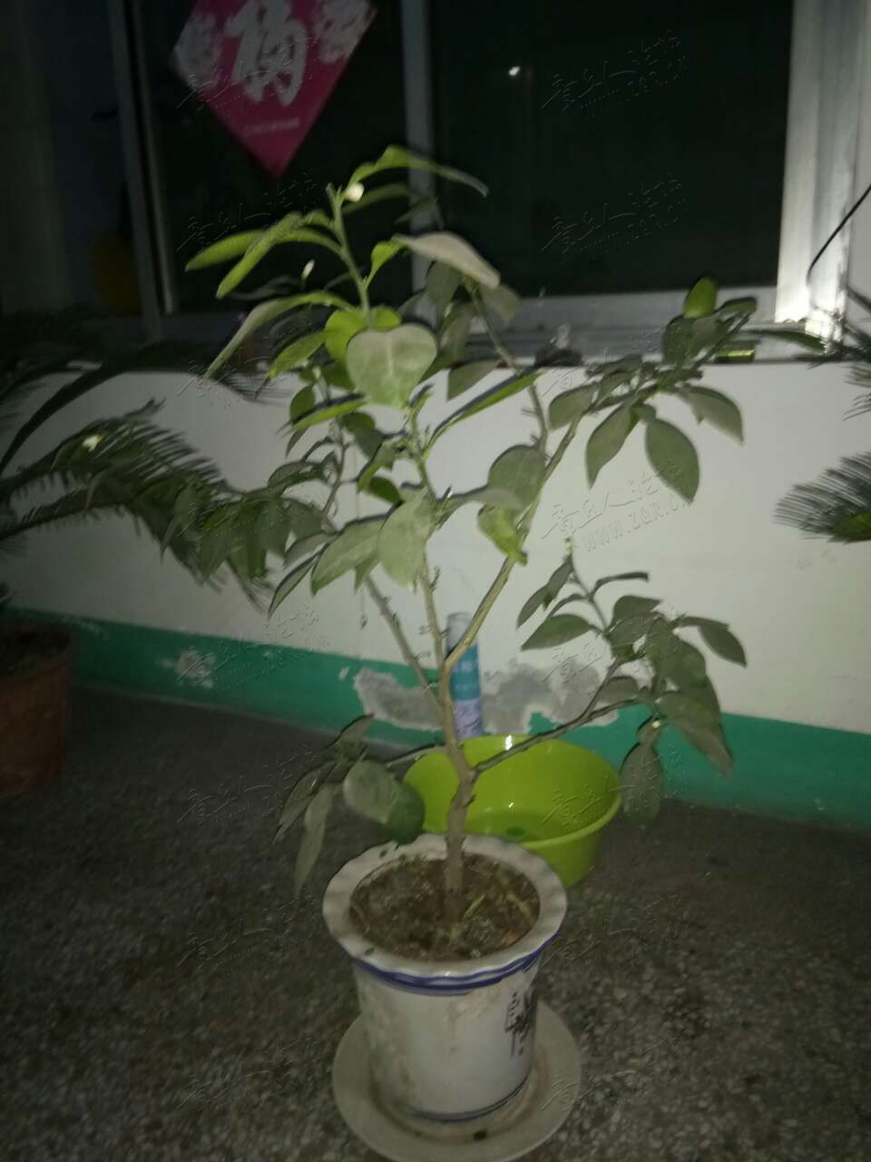 20190427_443729_1556353588356.jpg