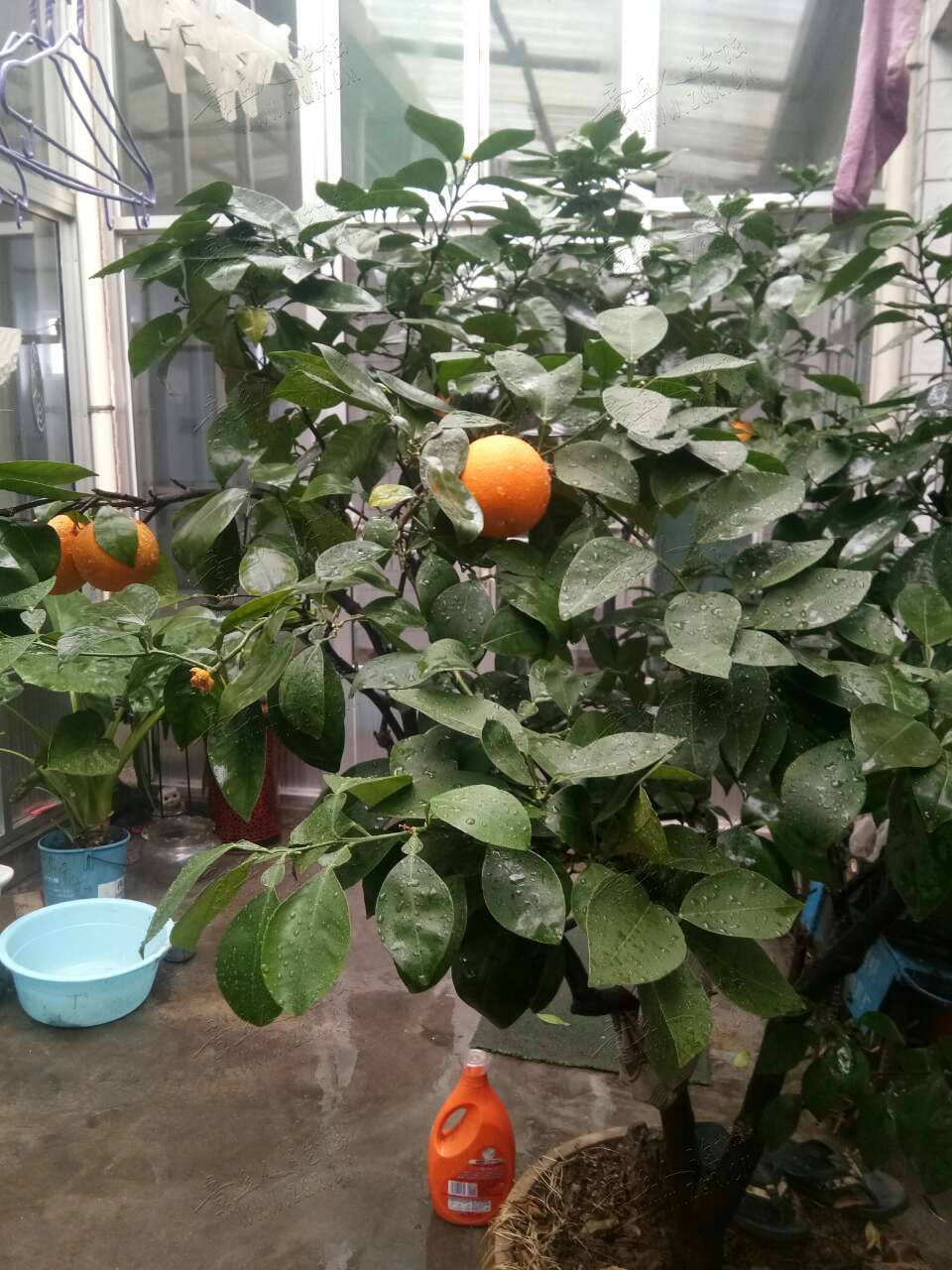 20190427_443729_1556353588838.jpg