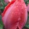 20190428_443873_1556451747977.jpg