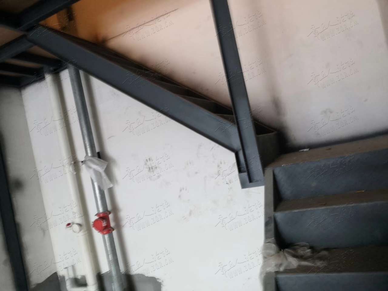 20190504_405372_1556946807187.jpg