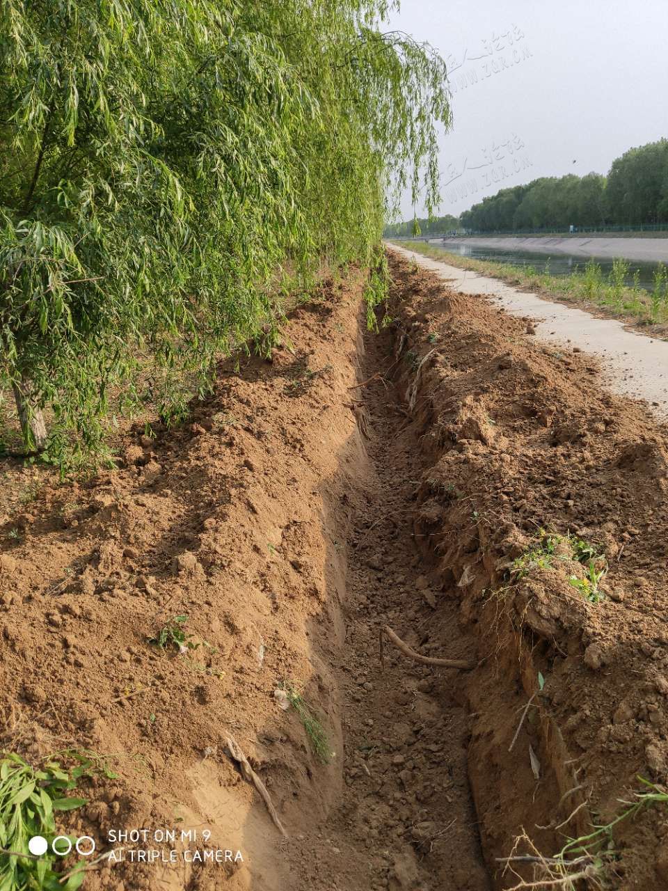 20190507_444636_1557219540186.jpg