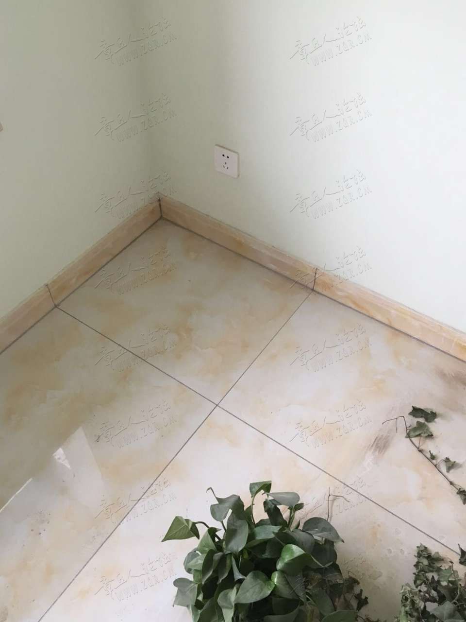 20190508_445330_1557310819515.jpg