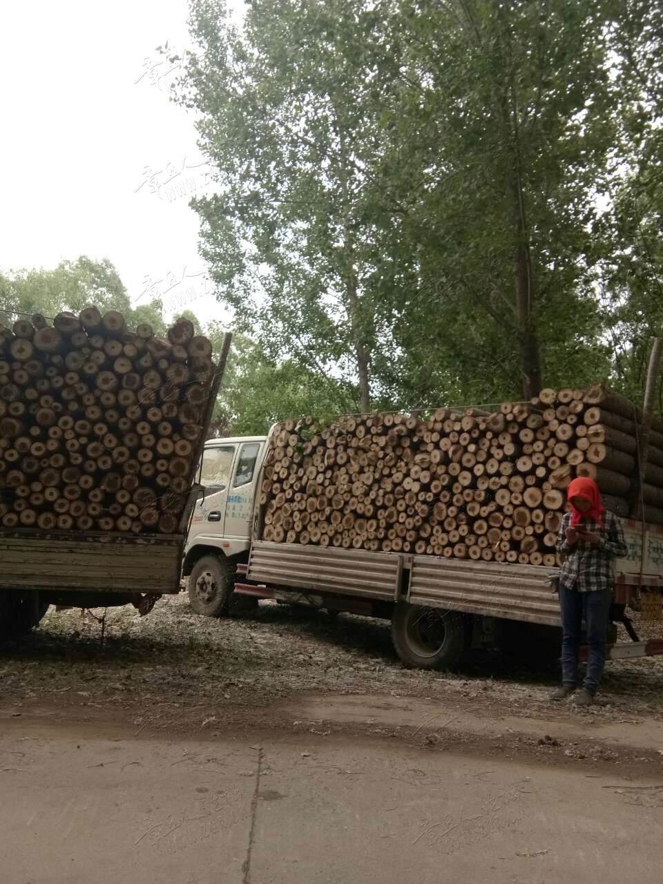 20190508_443729_1557319482430.jpg