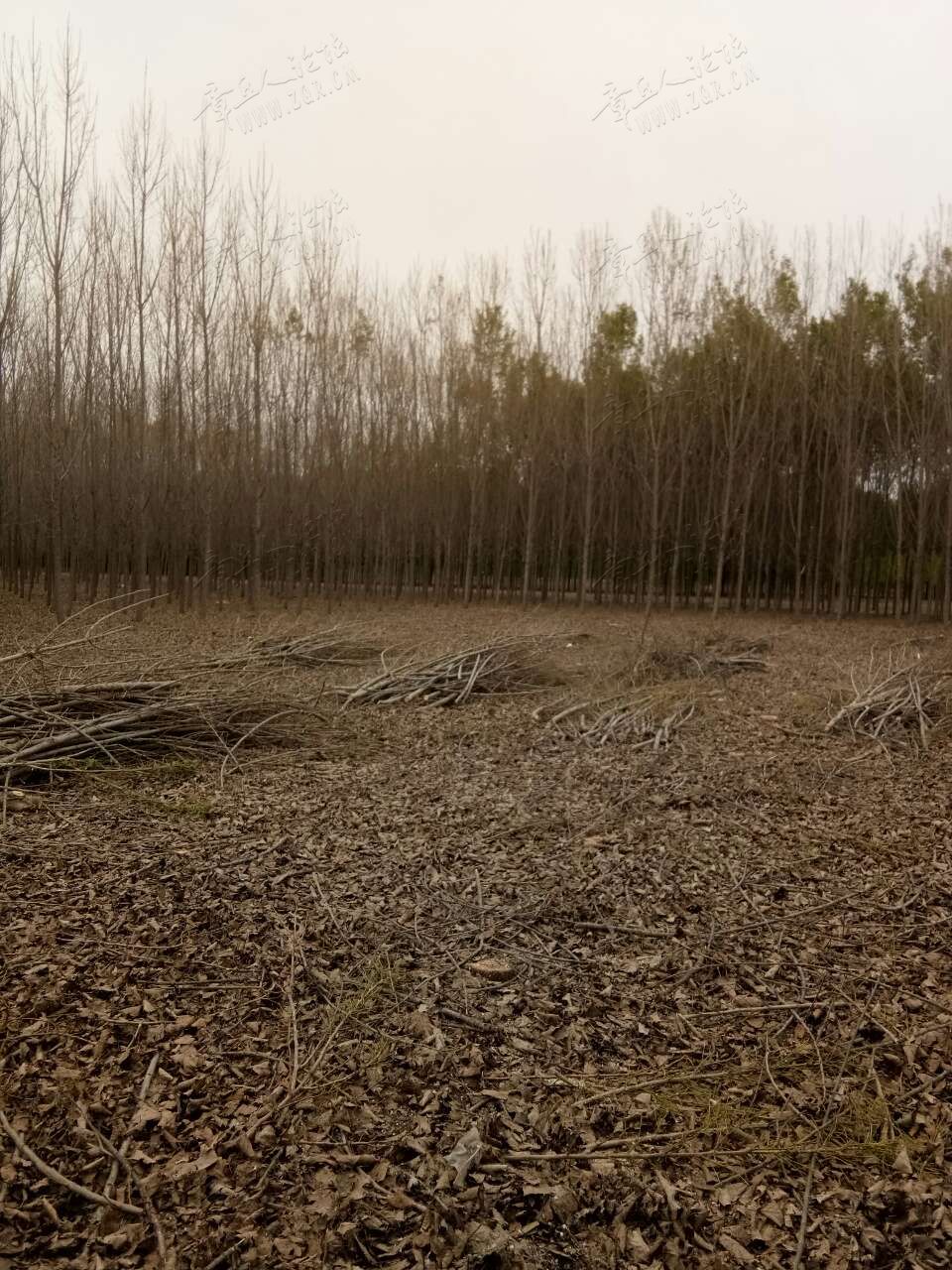 20190508_443729_1557319483363.jpg