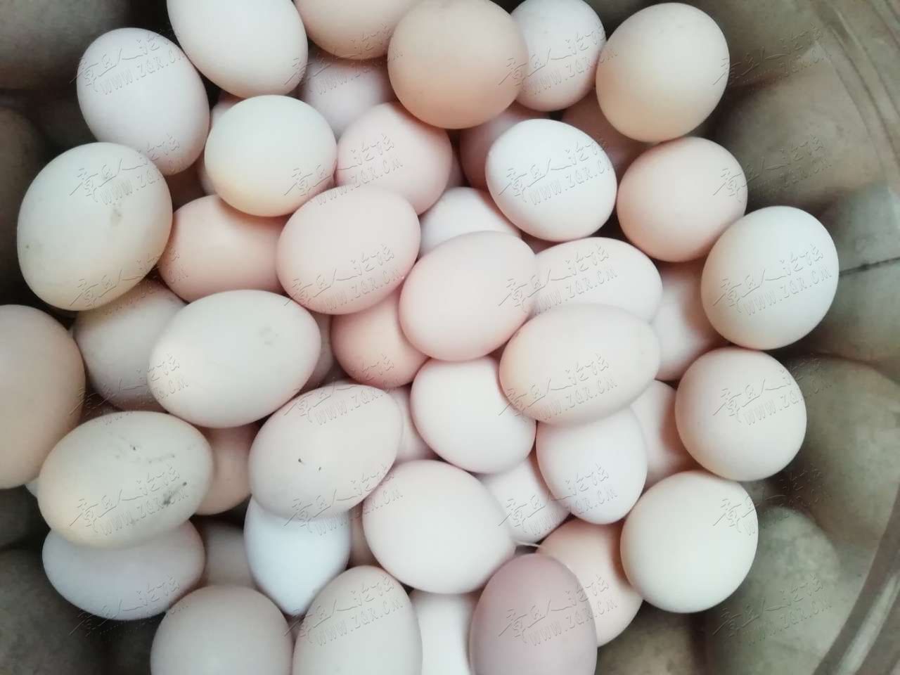 20190512_448078_1557636087633.jpg