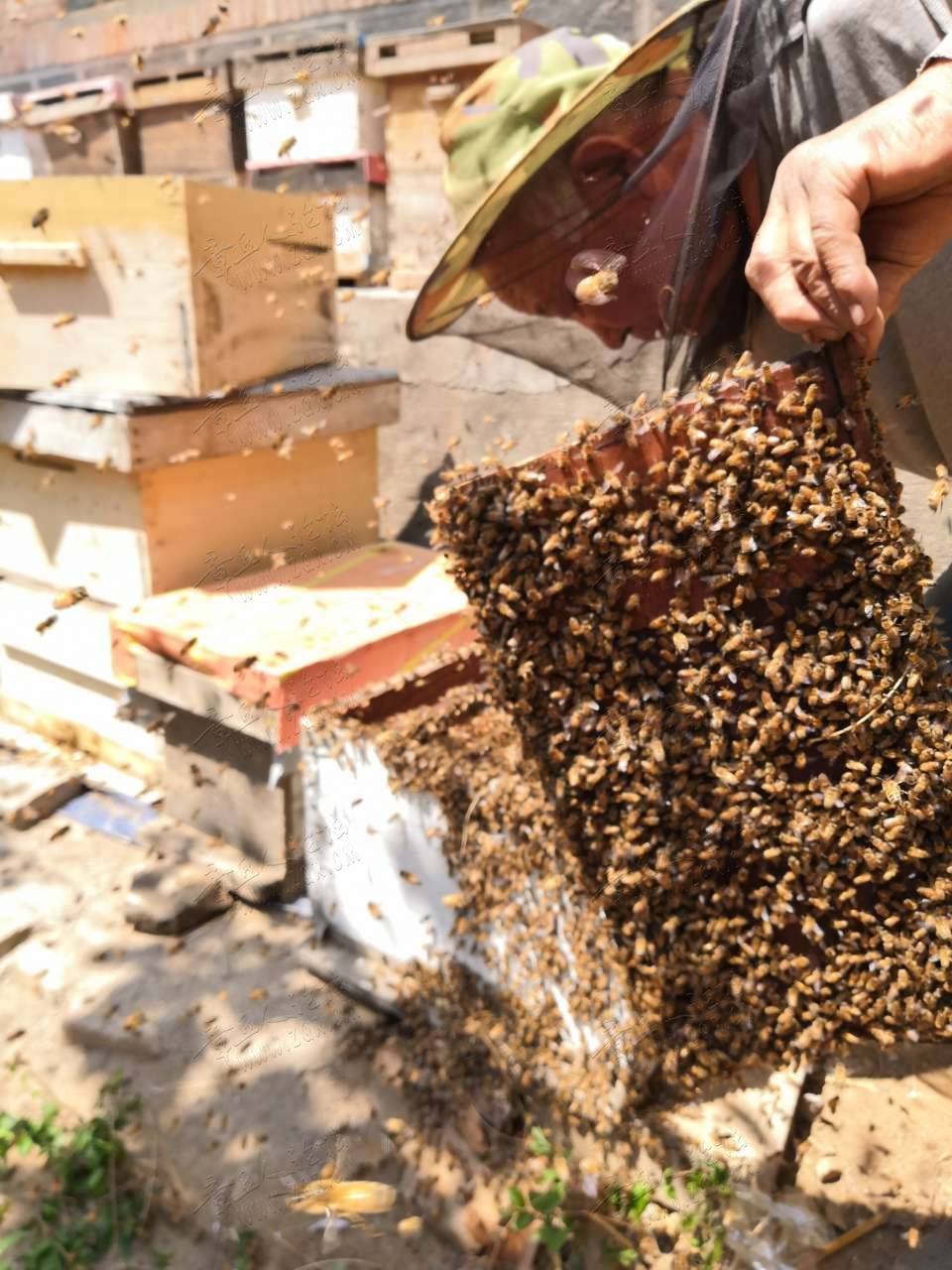 20190513_444245_1557716535055.jpg