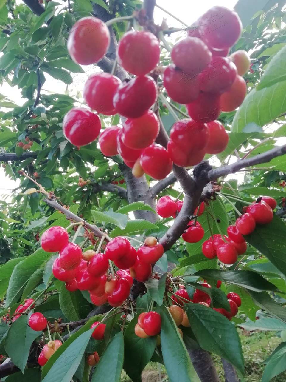 20190517_282510_1558069242345.jpg