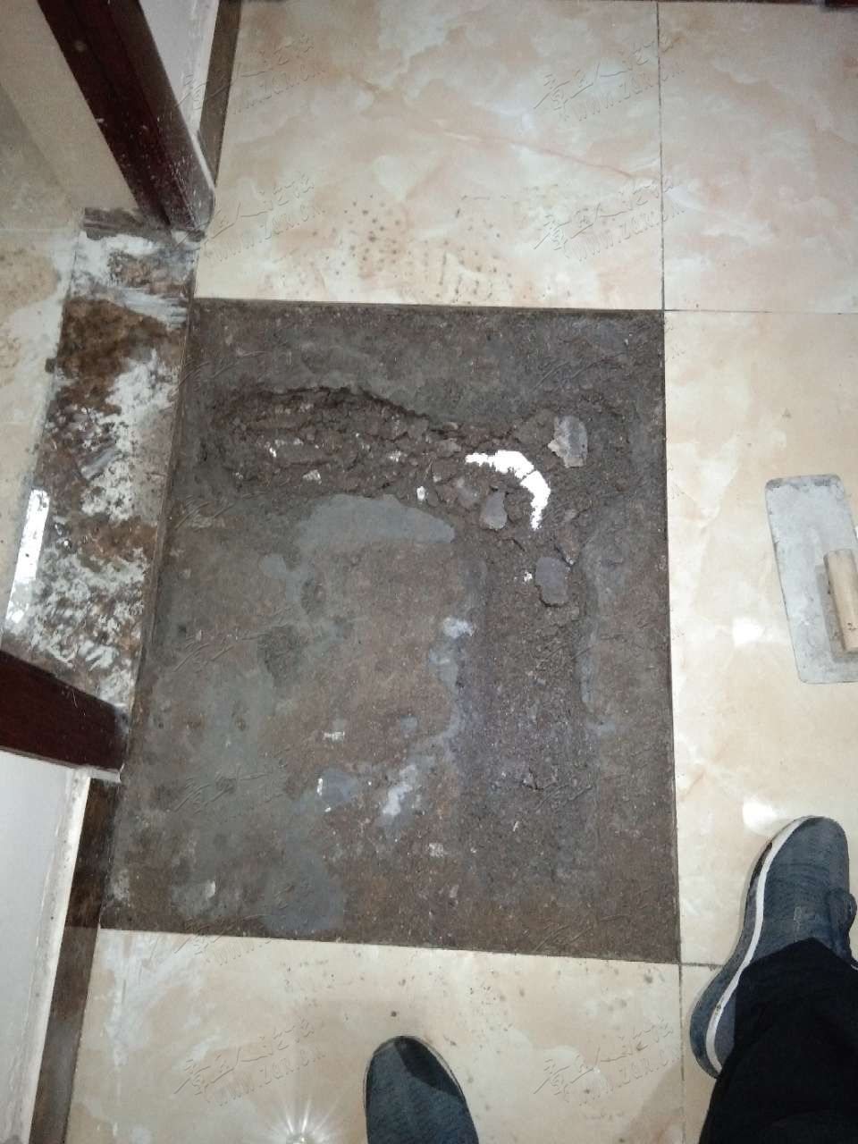 20190517_406526_1558090266991.jpg
