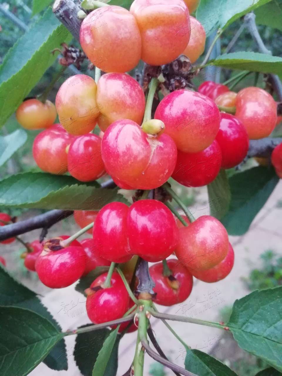 20190518_282510_1558130761390.jpg