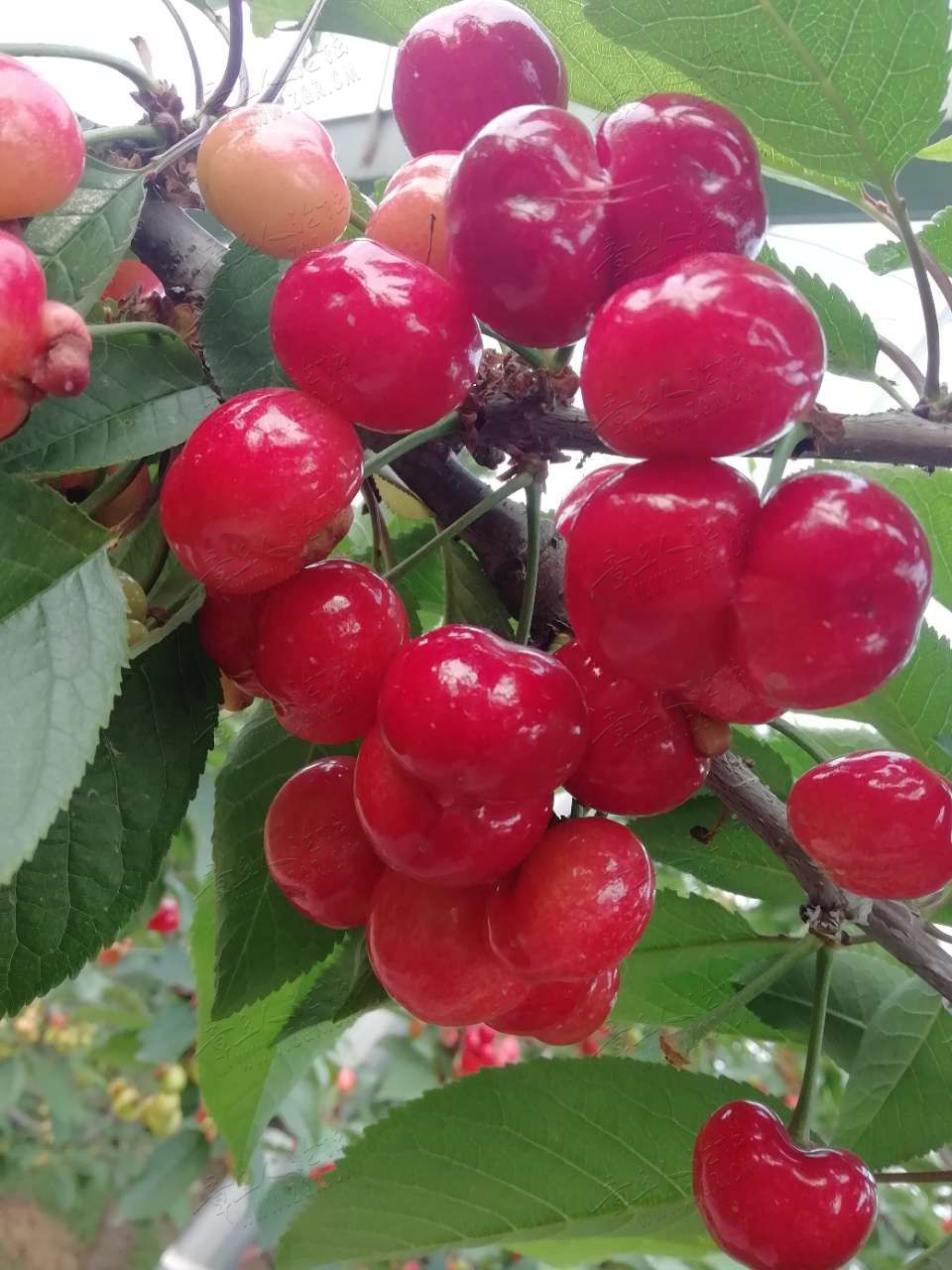 20190518_282510_1558130761016.jpg