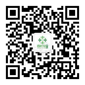 四叶草团队成立于2011年3月份，致力于研究网络创业项目的一支专 ...-1.jpg