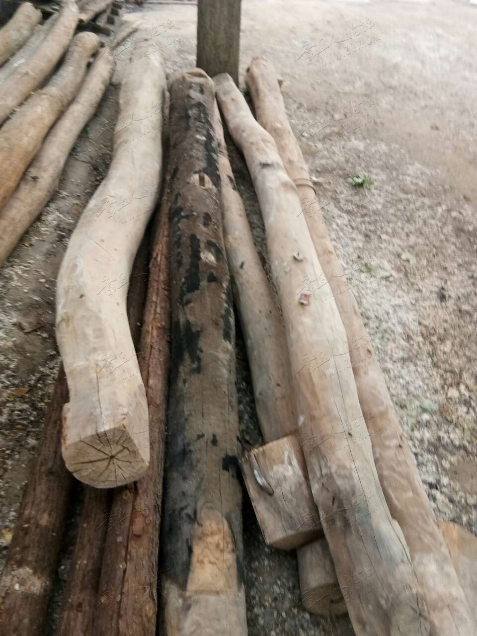 20190524_443729_1558703801120.jpg