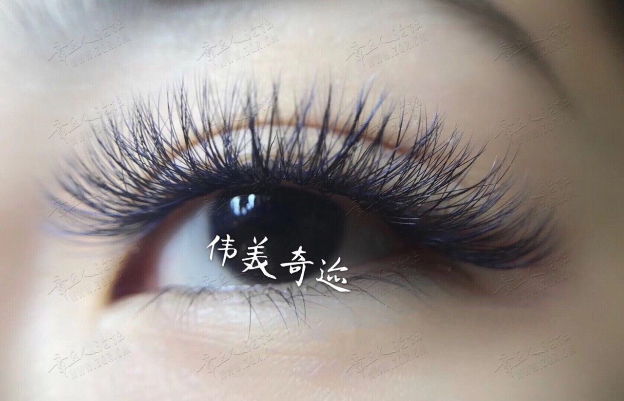 伟美.jpg