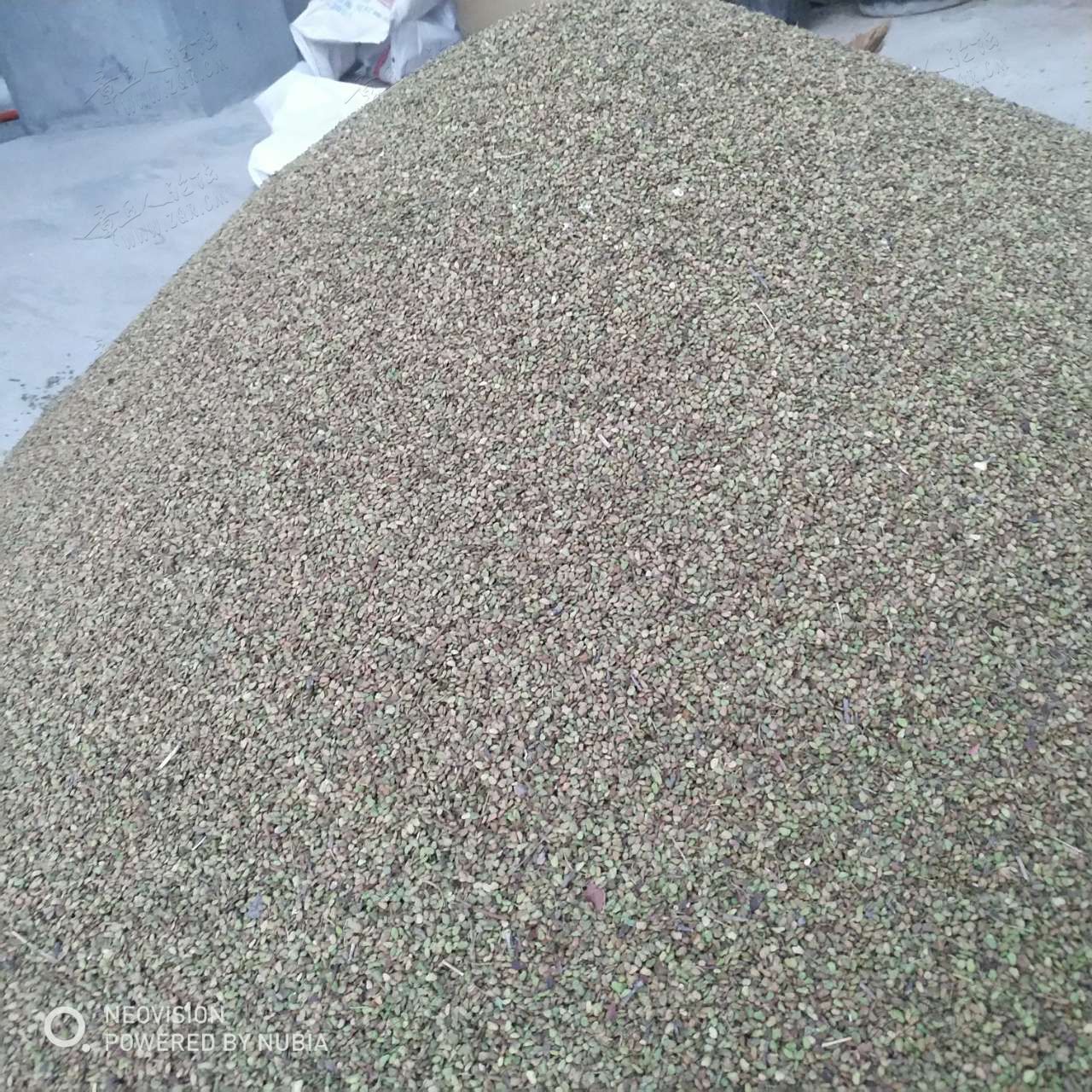 20190530_331099_1559162921405.jpg